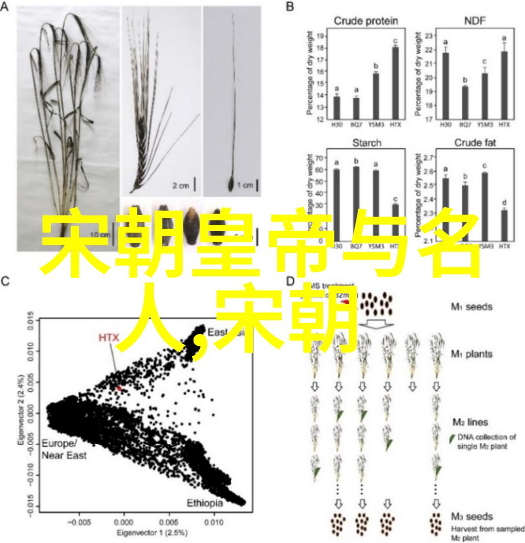 叶梦得